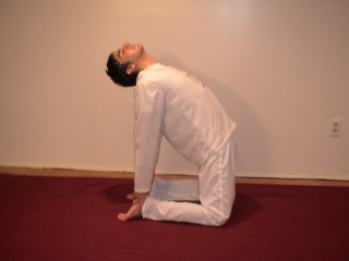 modified yoga for weight loss pic 7