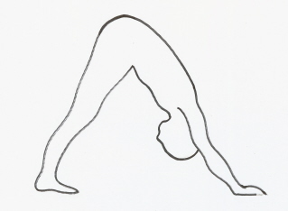 Hatha Yoga Position Picture