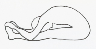 Hatha Yoga Posture Illustration