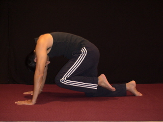 Best Yoga #3 - Tiger Pose Starting Position