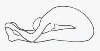 Illustrated Kundalini Yoga Camel Pose for Optimal Health and Wellbeing