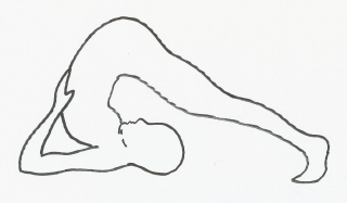 Hatha Yoga Position Picture