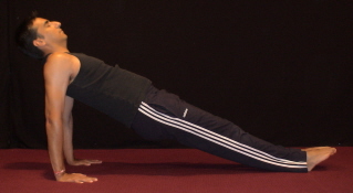 Bridge Pose Moderate